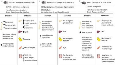 Sclerostin and Osteocalcin: Candidate Bone-Produced Hormones